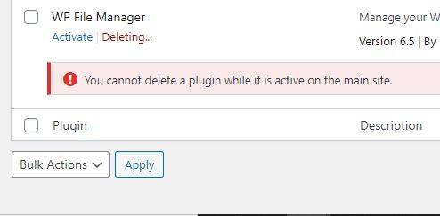 ou cannot delete a plugin while it is active on the main site
